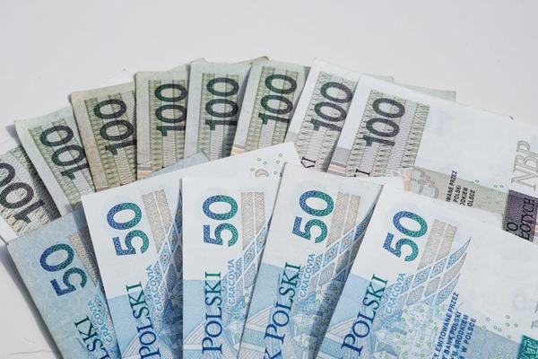 Zwyczaje finansowe Polaków: 4 na 10 z nas pożyczało pieniądze w ciągu ostatniego roku
