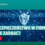 Cyberbezpieczeństwo w polskich firmach - raport EFL (grafika)