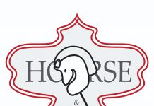 Logo-horse-and-toys